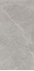 Berrys Grey High gloss 60*120