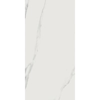 Керамогранит Bianco Statuario JW01 Luc SQ 60x119.7