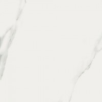 Керамогранит Bianco Statuario JW01 Nat Ret 60x60