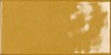 Briolette Ambra 10х20