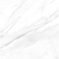 C221100071 Xlight 120x120 Lush White Pulished