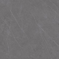 C221100601 Xlight Liem Grey Polished 120x120