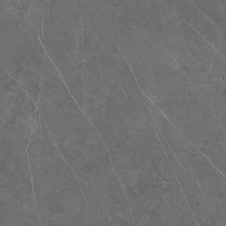 C221100601 Xlight Liem Grey Polished 120x120