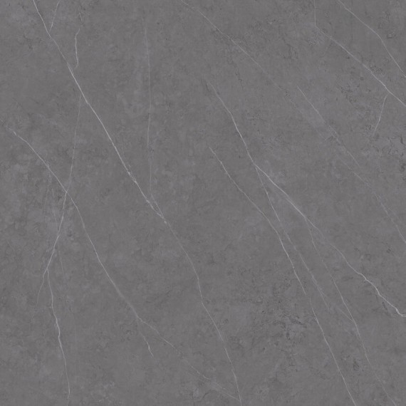 Керамогранит C221100601 Xlight Liem Grey Polished 120x120