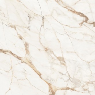 C221101881 Xlight Premium 120x120 Calacatta Gold Polished