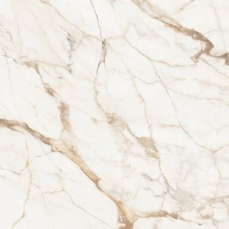 C221101891 Xlight Premium 120x120 Calacatta Gold Nature