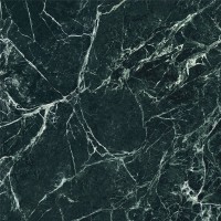 C221101921 Xlight Premium 120x120 Alpi Verde Polished