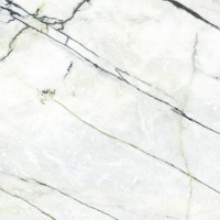 Urbatek C221101941 Xlight Premium 120x120 Calacatta Green Polished