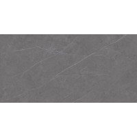 Urbatek C229801491 Xlight Liem Grey Polished 120x250