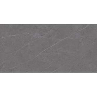 Urbatek C229801491 Xlight Liem Grey Polished 120x250