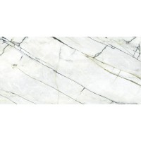 C229803481 Xlight Premium 120x250 Calacatta Green Polished