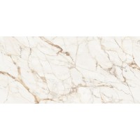 C229803501 Xlight Premium 120x250 Calacatta Gold Polished