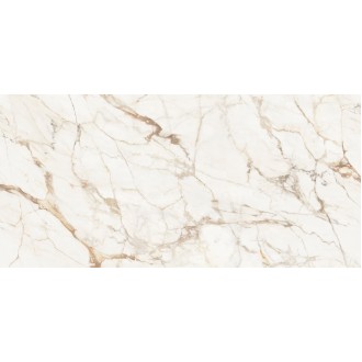 C229803501 Xlight Premium 120x250 Calacatta Gold Polished
