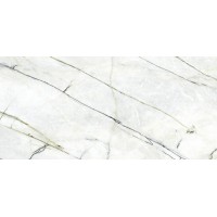 C229803521 Xlight Premium Calacatta Green Silk 120x250