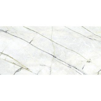 C229803521 Xlight Premium Calacatta Green Silk 120x250