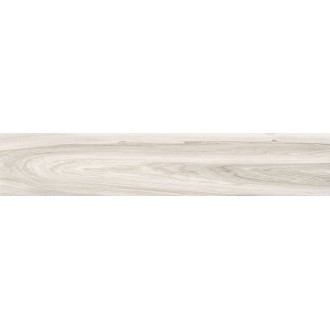Керамогранит CARTER WHITE P1 23X120