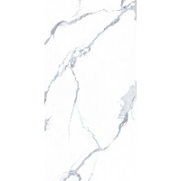 Calacatta Gold 60x120