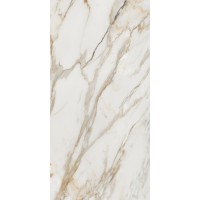 Calacatta Gold 80x160