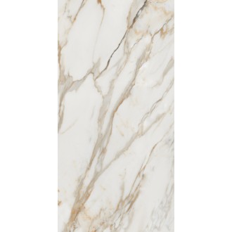 Calacatta Gold 80x160