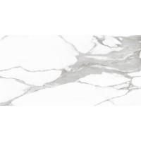 Calcutta Gloss 60x120