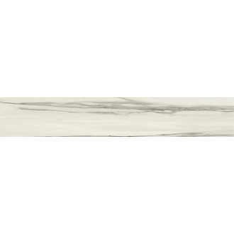 Calcutta Gloss Rectificado 20x114