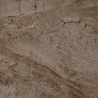 Camanzoni Brown Glossy 60x60