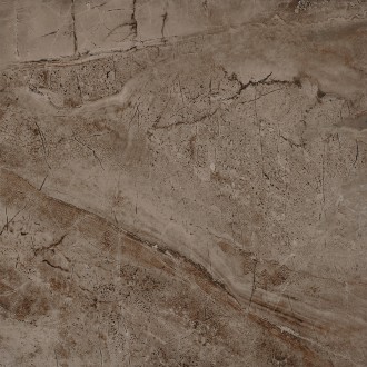 Camanzoni Brown Glossy 60x60