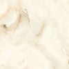 Керамогранит Cloudy Onyx Crema Sugar 60x60