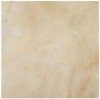 Керамогранит DAMORE BEIGE 38,8x38,8 14318-01-3838-15