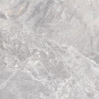 CIC_DB99 Cicogres DEBA GRIS 99х99