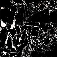 DRAGON Black High Glossy 60x60