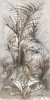 Fondovalle DREAM JUNGLE 120x278 6.5