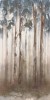 Fondovalle Dream Woods 120x278 6.5