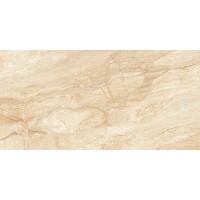Dynamo Polished 60х120