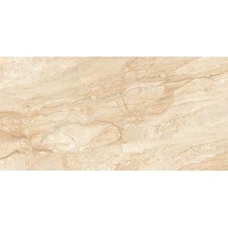 Dynamo Polished 60х120