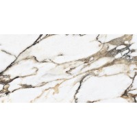 E-13097 POLISHED 60x120