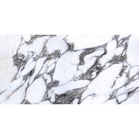 E-13169 POLISHED 60x120