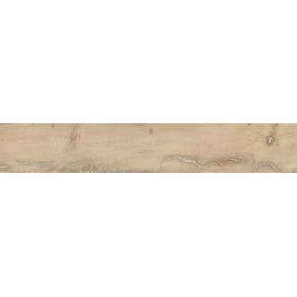 EGNV Alter Miele 20x120