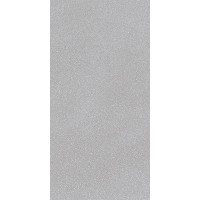 ERGON EH6L Grey Minimal 60x120