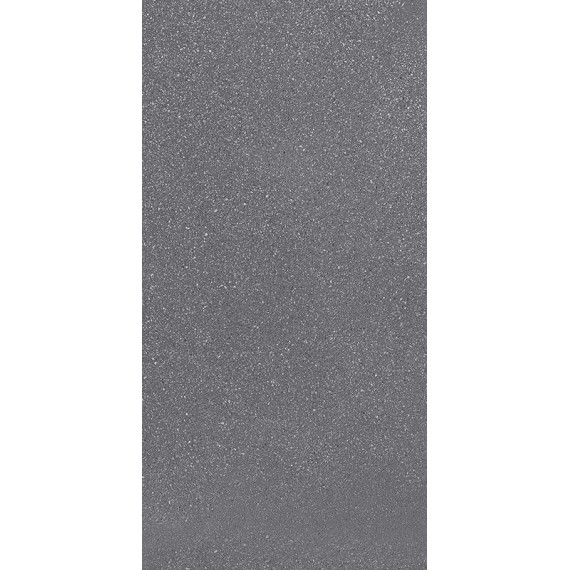 ERGON EH6M Dark Grey Minimal 60x120