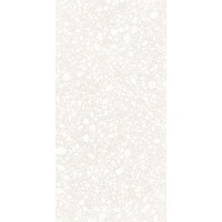 ERGON EH9A White Pop 60x120