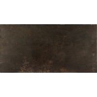 Керамогранит Evolution Bronce 49.1x98,2