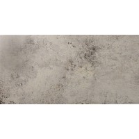 Керамогранит Evolution Gris 49.1x98,2