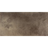 Керамогранит Evolution Titano 49.1x98,2