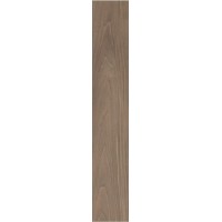 Керамогранит FABULA Nucis 20x120