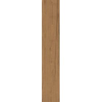 Керамогранит FABULA Theca 20x120