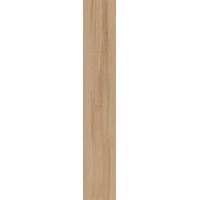 Керамогранит FABULA Ulmus 20x120