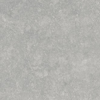 Fossil Gris 20mm 60x60