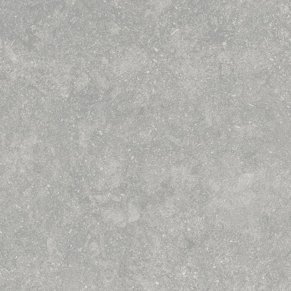 Керамогранит Fossil Gris 20mm 60x60