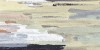 GO WILD BLEND NATURAL 44,63x89,46